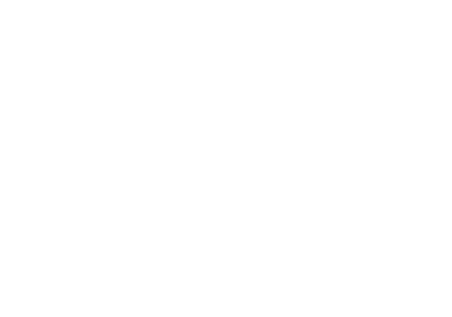 logo-despachante-pirajussara